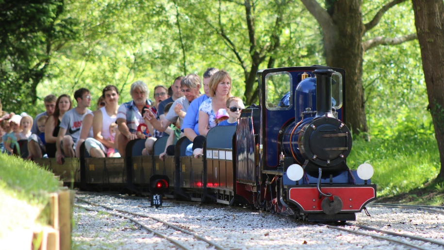 Moors valley railway 2 915px 2568532960