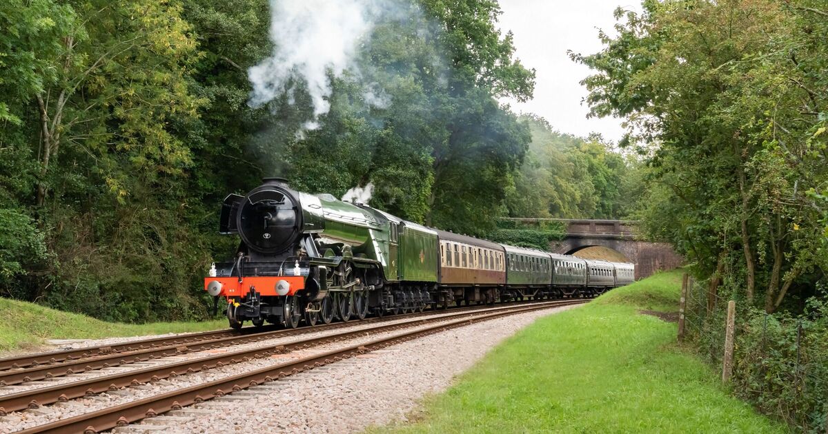 A classic steam train glides through picturesque countryside.
