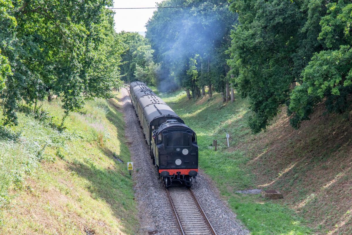 A vintage steam train makes its way through a lush countryside landscape.